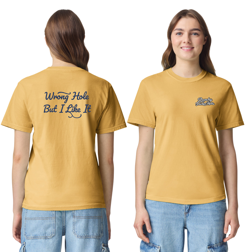 Wrong Hole But I Like It T-Shirt